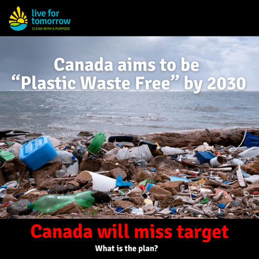 Plastic Pollution - Is Canada Doing Enough? Post 2 of 4