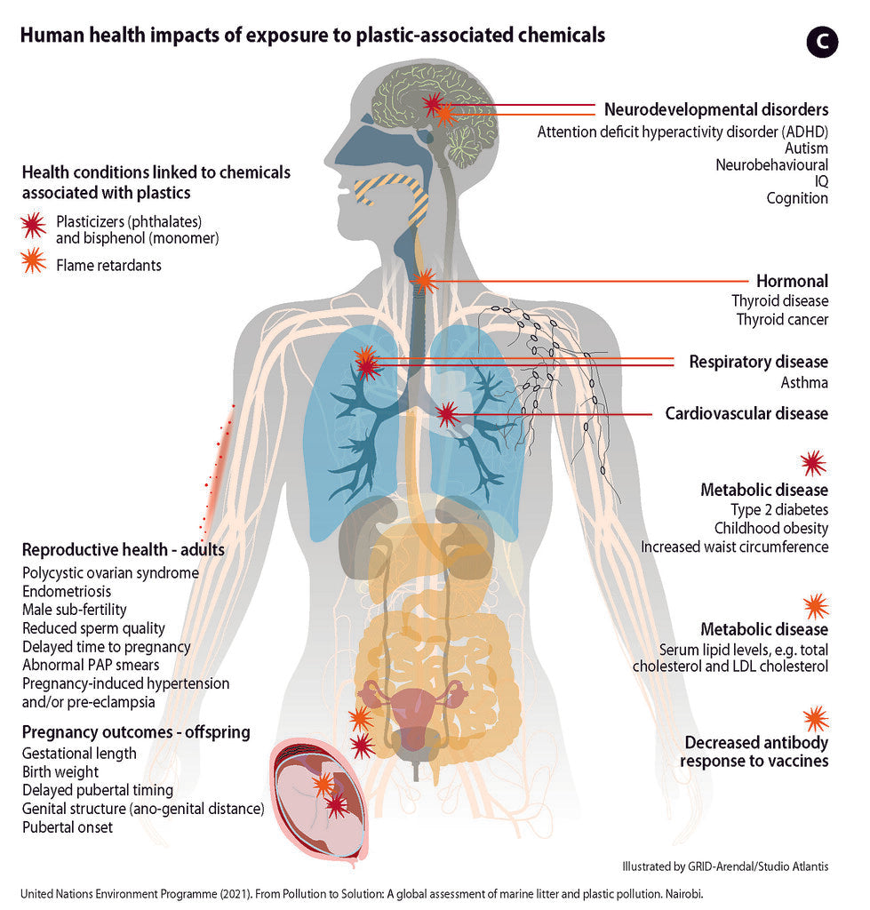 How Microplastics are Impacting Human Health and Aquatic Life