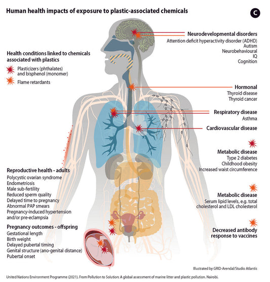 How Microplastics are Impacting Human Health and Aquatic Life