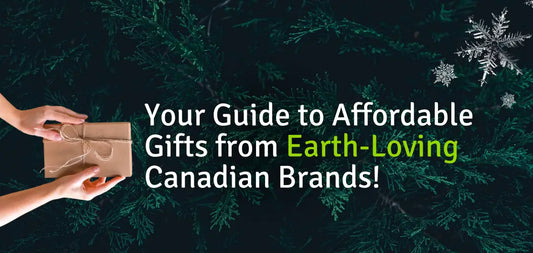 Unwrap Sustainability on a Budget