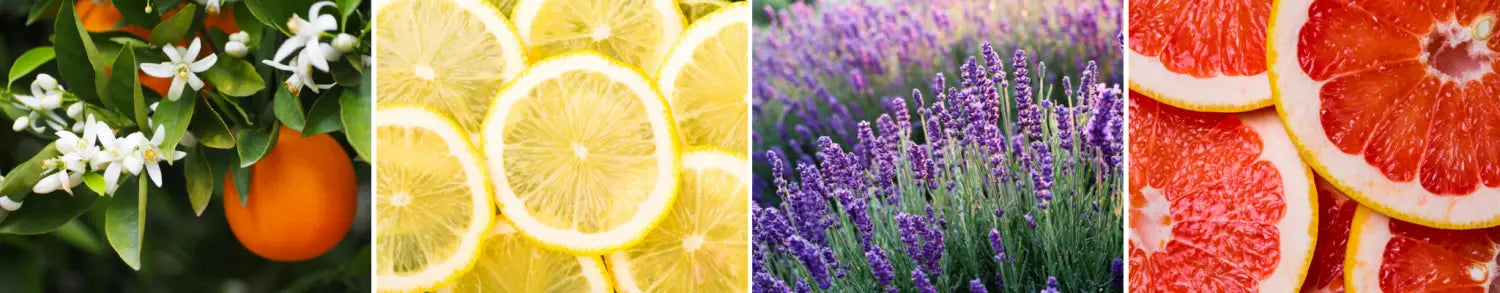 All-natural eco-friendly essential oil scented cleaning products