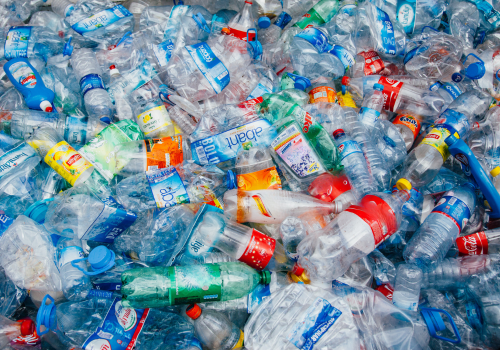 Live for Tomorrow saves single use containers from landfill Live for Tomorrow saves single use containers from landfill