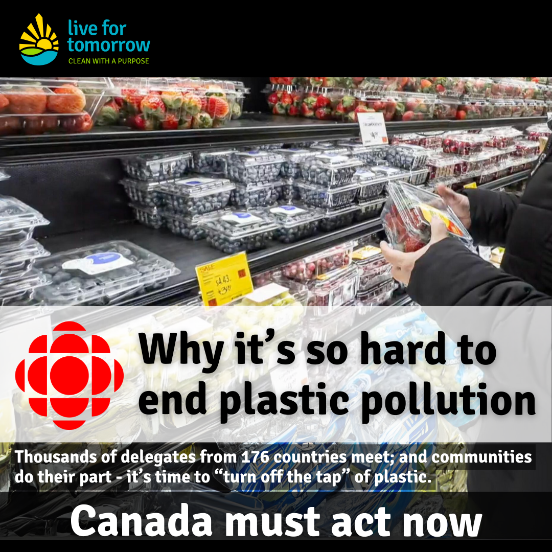 Plastic Pollution - Is Canada Doing Enough? Post 1 of 4