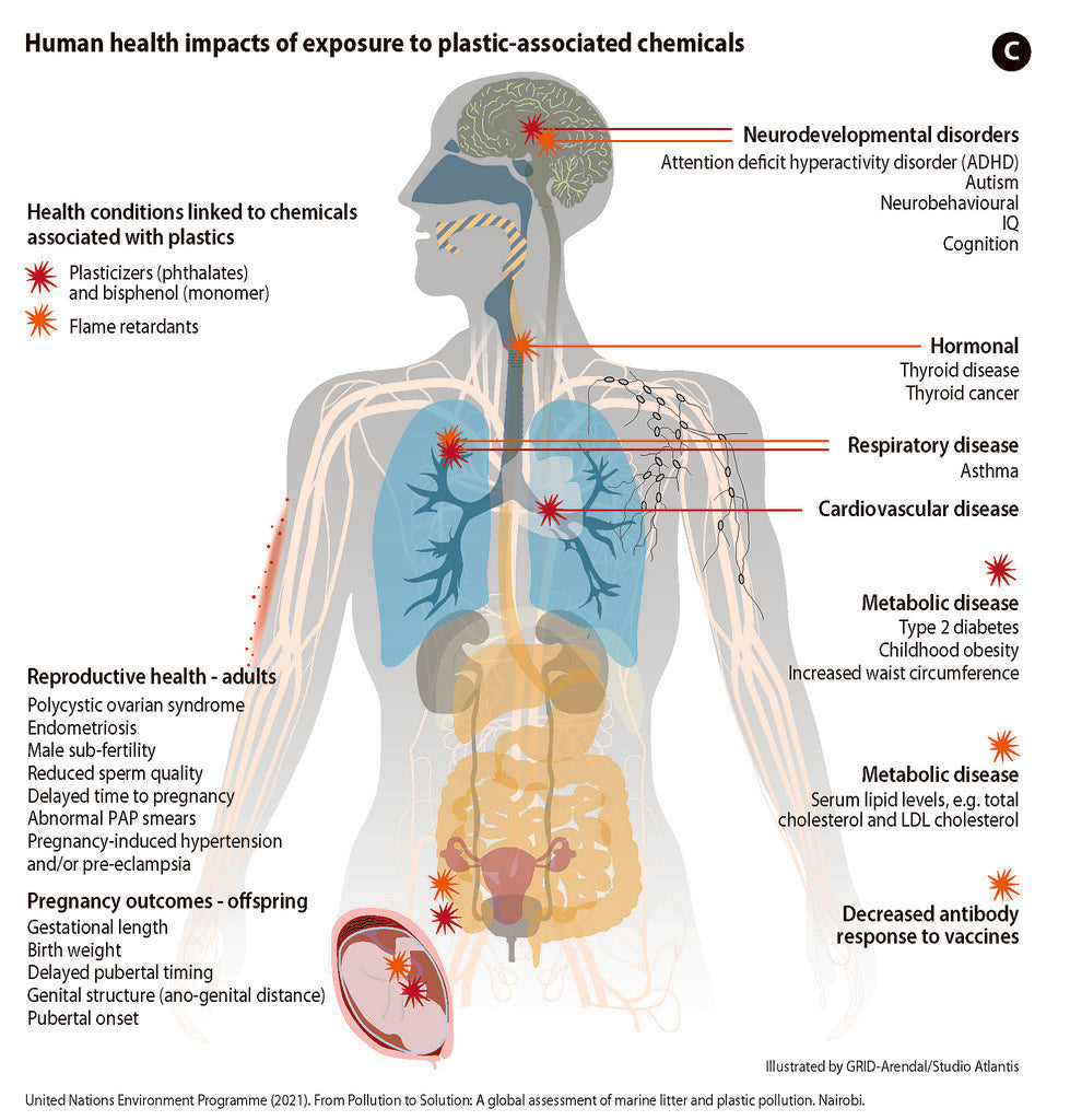 Microplastics Effects How Microplastics are Impacting Human Health and Aquatic Life – Live ...