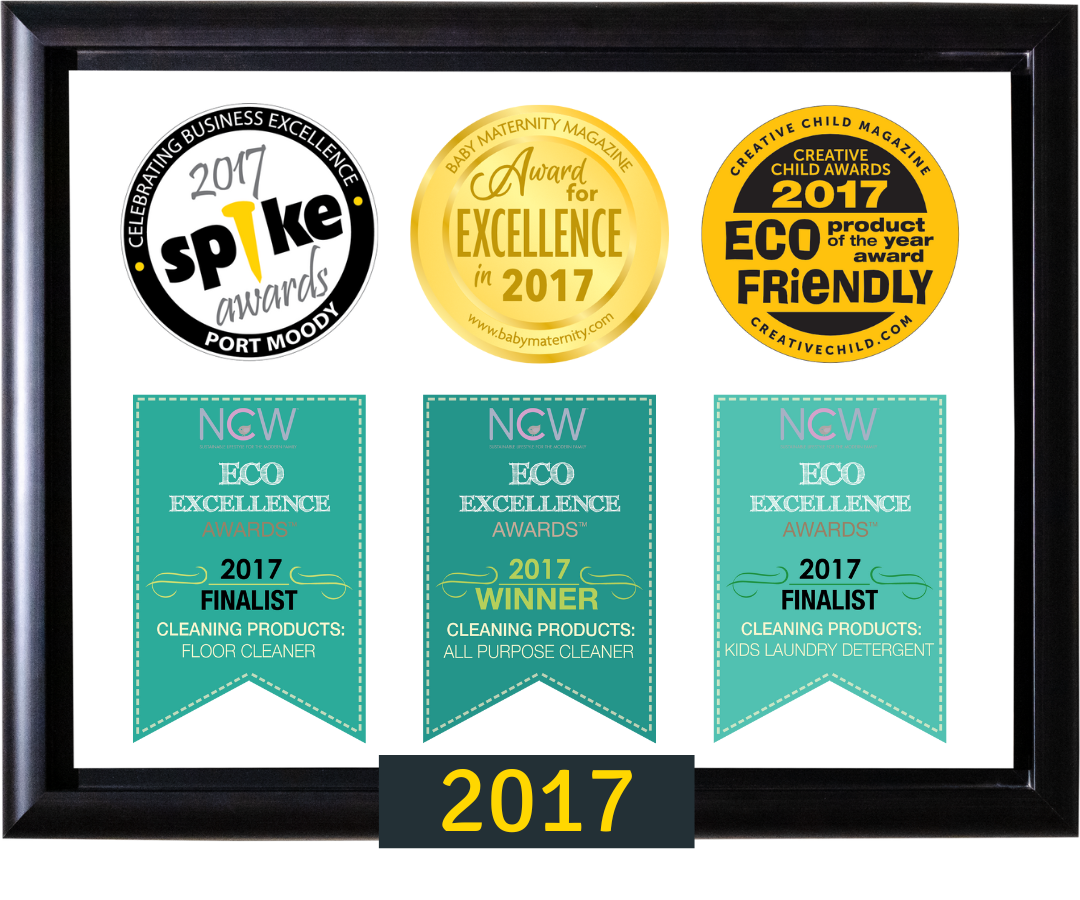 2017 - Spike Award, Eco Excellence Award by Natural Child World, Baby Maternity Magazine Awards, Creative Child Magazine