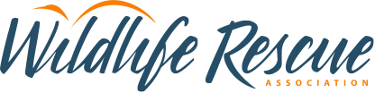 Wildlife Rescue Logo
