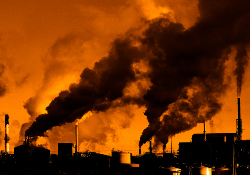 Live for Tomorrow saves C02