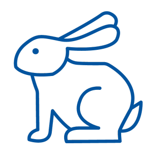 Cruelty Free Cleaning Products